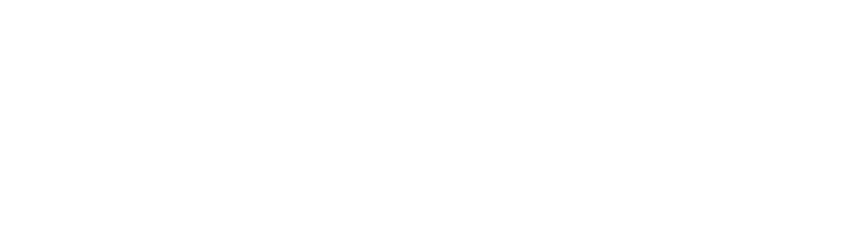 Universal Net Enterprises - Official Logo - White